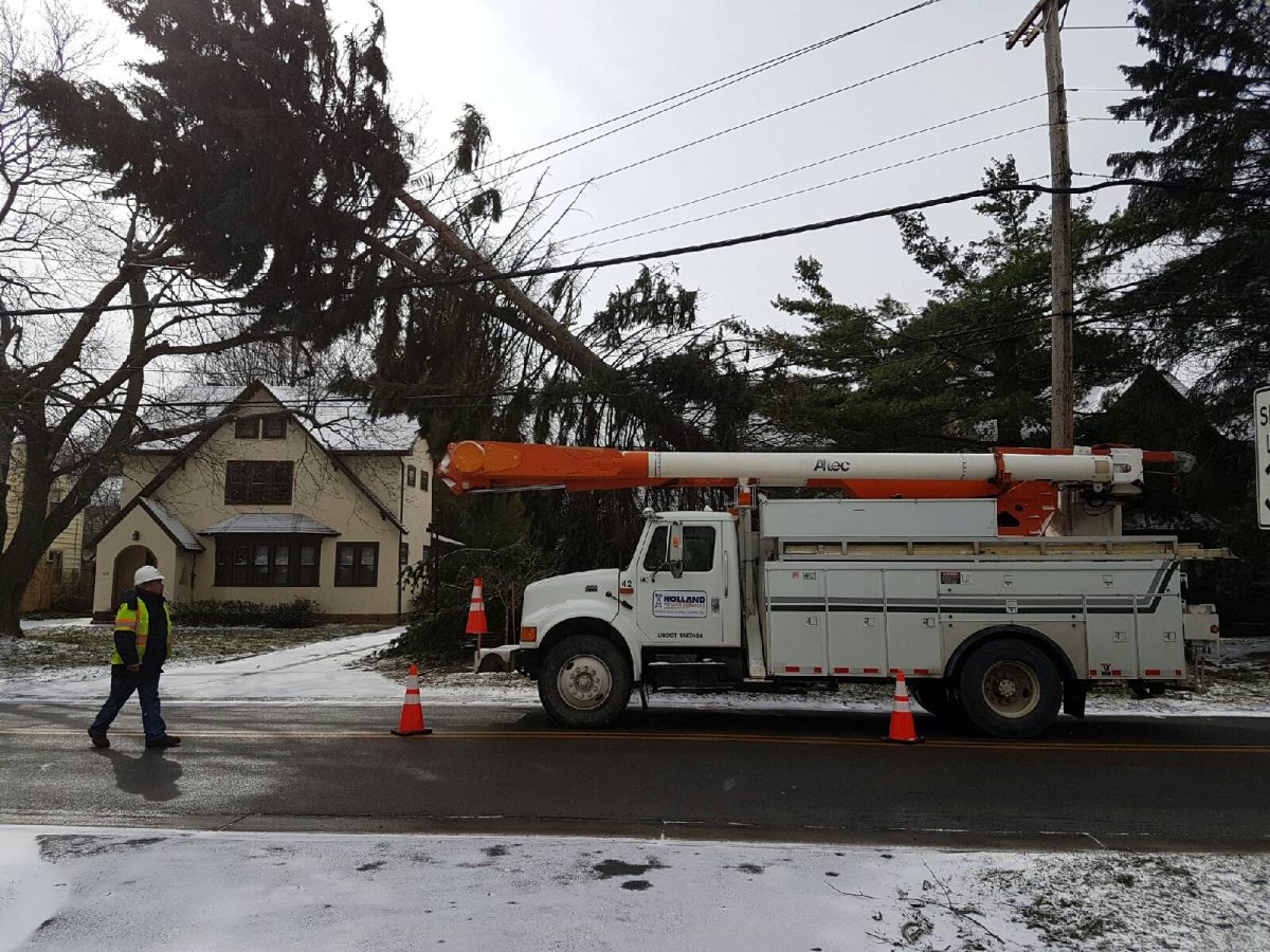 Tree Down on Line. HPS can mobilize a fleet of more than 200 vehicles and is on site to resolve the issue.